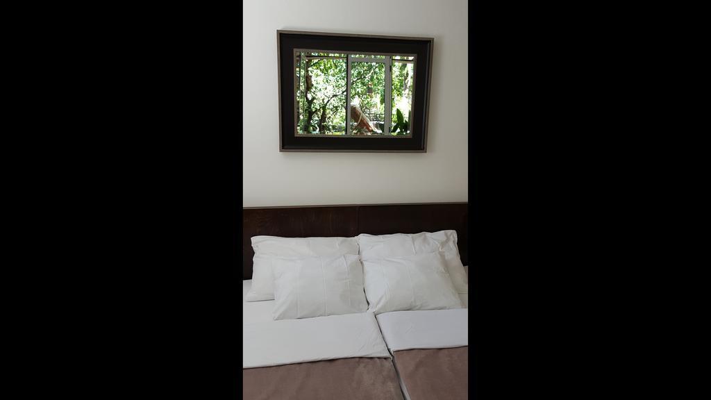 Turtle Apartments Dubrovnik Rom bilde